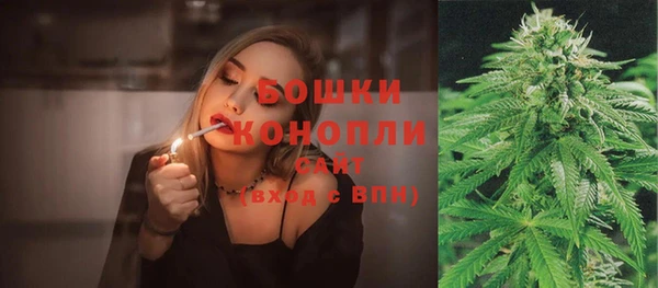 гидра Елизово