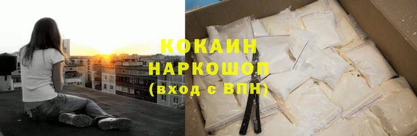 гидра Елизово