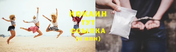гидра Елизово
