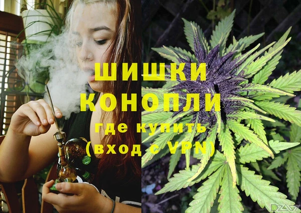 spice Елабуга