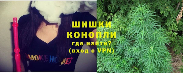 Альфа ПВП Ельня