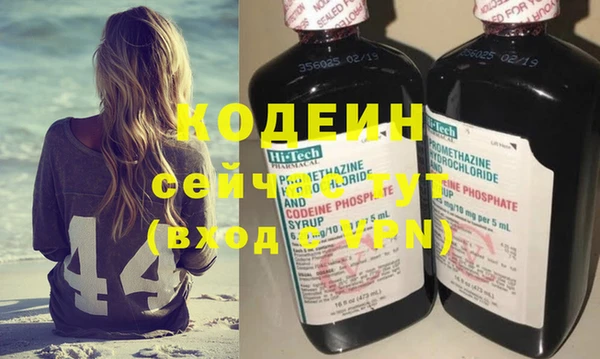 гидра Елизово
