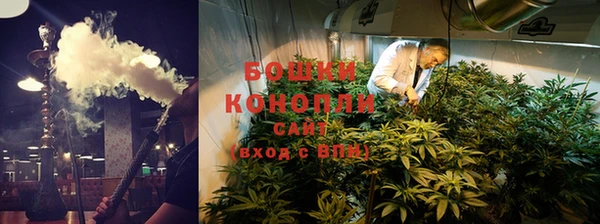 гидра Елизово