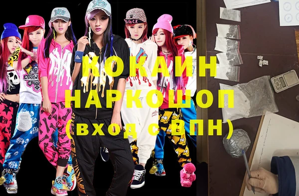 гидра Елизово