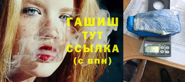 гидра Елизово
