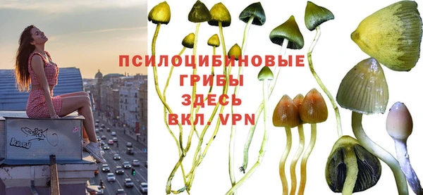 Альфа ПВП Ельня