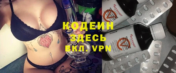 гидра Елизово