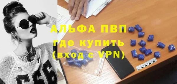 гидра Елизово